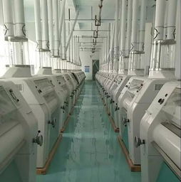 500噸新廠誠聘面粉行業精英 共譜發展新篇章