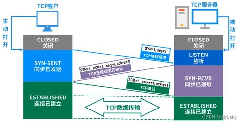 計算機網絡體系結構中的關鍵術語解析